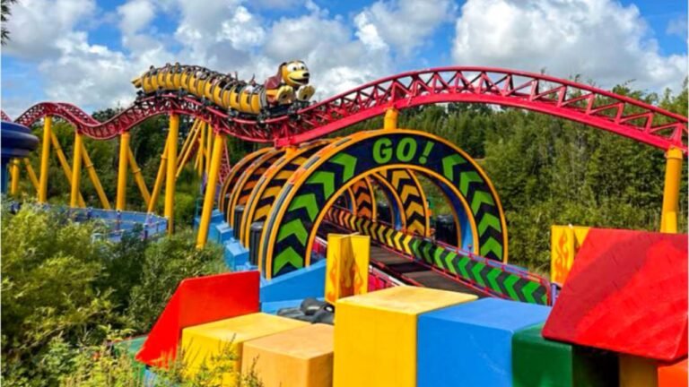 Disney World Headaches